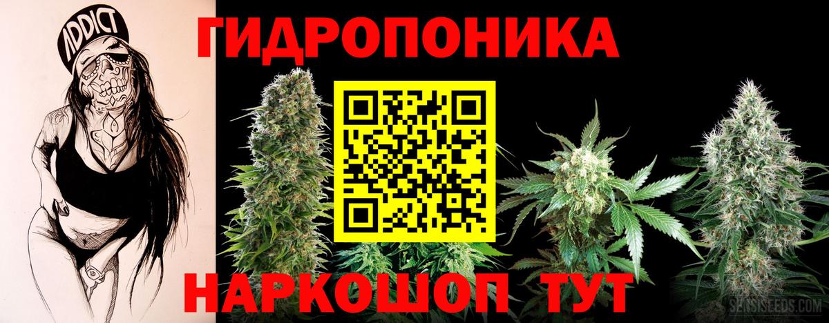 Марихуана OG Kush  Вход с VPN  Крымск  Марихуана ГИДРОПОН  Бошки Шишки марихуана 